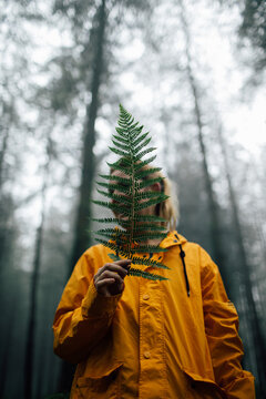 Adult female traveler with lush green plant leaf looking away during trip in woods