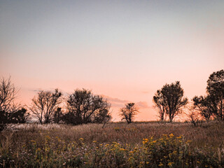 Fototapeta na wymiar sunset in the countryside, field