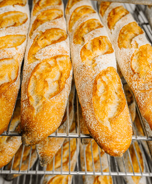 Rows of tasty oval shaped bread with golden surface and crunchy crust on metal rack shelves