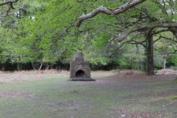 fireplace in the forest