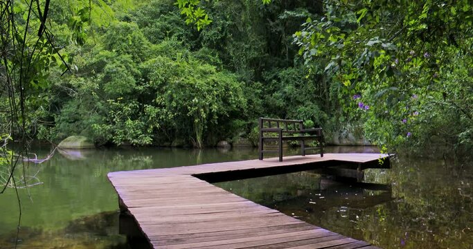 Bucolic image of a brown wooden walkway over the water, surrounded by native forest