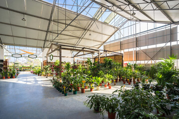 Spacious facility of garden center with assorted potted plants and blooming flowers lit by sunlight
