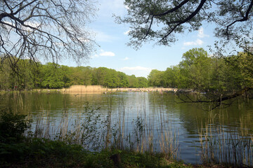 jungfernheidesee