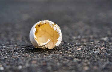 Leere Eierschale auf Asphalt