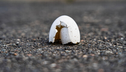 Leere Eierschale auf Asphalt