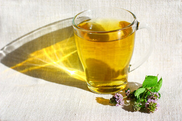 A full cup of mint tea stands in the sun, mint leaves and flowers lie nearby.