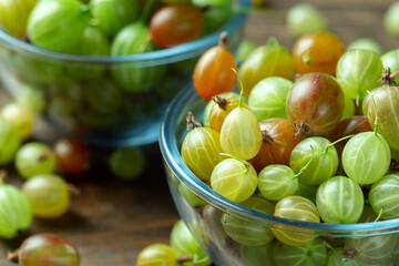 Ripe gooseberry in a glass plate, place for text, top view, summer harvest of berries.