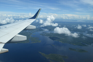 Fototapeta na wymiar flooded amazon rainforest seen from plane
