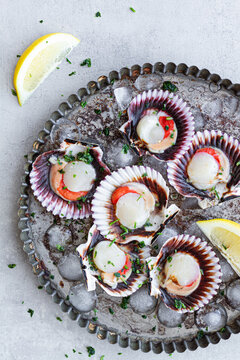 Top view fresh appetizing scallops on shells served on ice on plate with lemon slices
