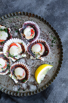 Top view fresh appetizing scallops on shells served on ice on plate with lemon slices