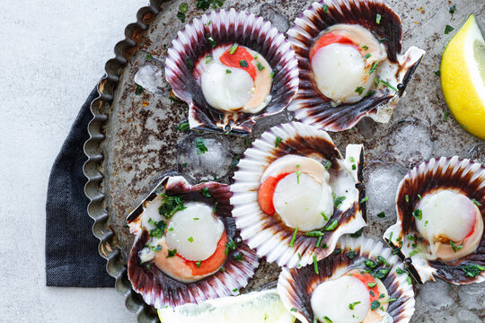 Top view fresh appetizing scallops on shells served on ice on plate with lemon slices