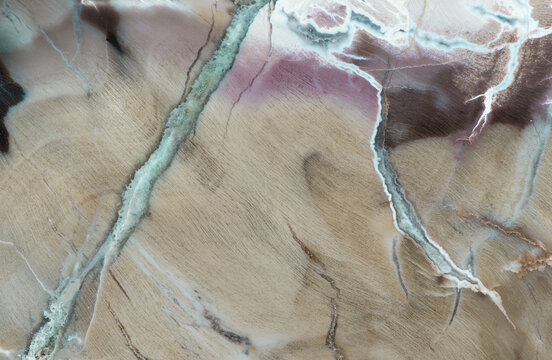 Texture of Macro photography of patterns and colors in a piece of petrified wood (Woodworthia species) from the Chinle Formation in Arizona; approx. 225 million years old