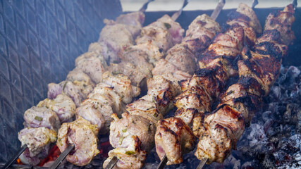 meat on skompurs, roasting meat on fire, barbecue, nature, background