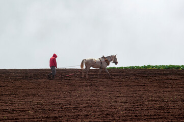 campesinos arando el suelo con un caballo y herramientas para la agricultura