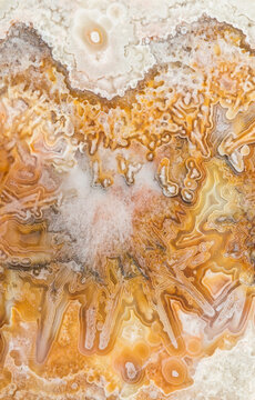 Macro texture photography of the colors and patterns in a Lace agate from Mexico