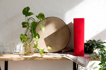 Green seedling of houseplant placed in glass bottle with water on wooden shelf with book near white wall in kitchen