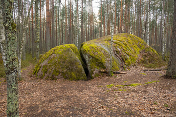 Ancient stones in the forest
- 433686681