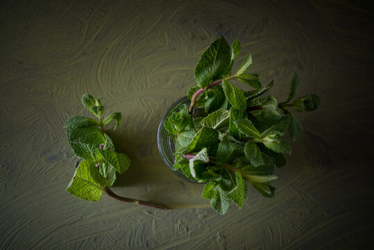 Top view of fresh green mint sprigs with aromatic leaves in transparent glass with pure aqua on dark background