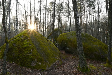 Ancient stones in the forest
- 433687265