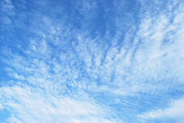 Fototapeta premium delicate white clouds adorn the bright blue sky