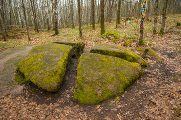 Ancient stones in the forest - 433688248