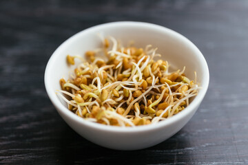 Fenugreek sprouts in a small bowl