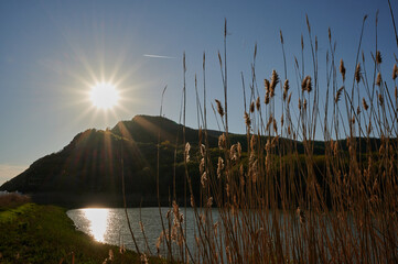 view of the sun shining through the mountain to the lake and dried flowers