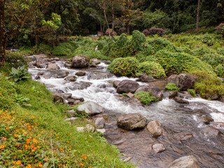Der Rio Savegre ein Fluss durch das Savegre Tal und dem Los Quetzales Nationalpark in Costa Rica.