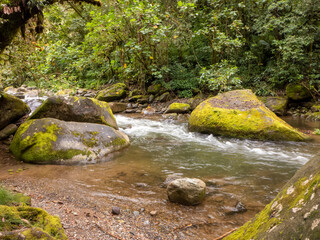 Naklejka na ściany i meble Der Rio Savegre ein Fluss durch das Savegre Tal und dem Los Quetzales Nationalpark in Costa Rica.