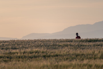 Obraz na płótnie Canvas lone boy behind a spiky cereal field at sunset with mountains in the background