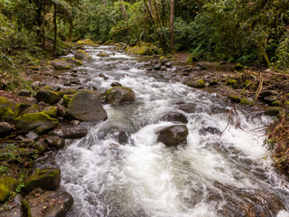 Der Rio Savegre ein Fluss durch das Savegre Tal und dem Los Quetzales Nationalpark in Costa Rica.