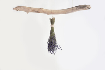 Dried bunch of lavender hanging upside down on a piece of old driftwood.