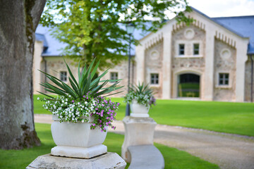 Fototapeta na wymiar Garden plant with villa and green grass in bacground in summer