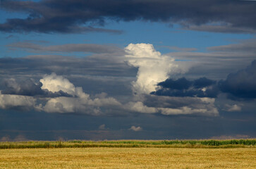 Summer landscape with cumulus clouds over field. Sky, countryside background.