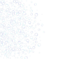 Soap bubbles flew randomly on a white background. Vector