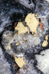 Close up  beautiful marble texture 