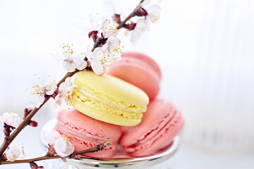Spring flowers and french macaroons