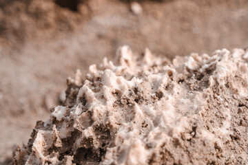 Salt rocks close-up on the Devil's Golf Course in Death Valley