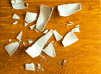 White Shards of a Broken Plate on the Floor