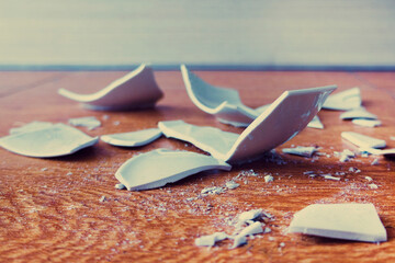 Pieces of shattered dishes. Splinters and Fragments of the broken white ware on a floor. Metaphor...
