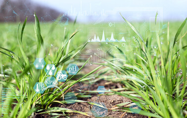 automatic plant growth control without human intervention monitoring and analysis of plant growth...