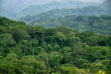 Fototapeta na wymiar Landscape photographed in Chapada dos Veadeiros National Park, Goias. Cerrado Biome. Picture made in 2015.