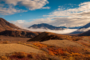 Naklejka na ściany i meble dramatic landscape of mountain peaks and mountain ranges inside Denali National Park during autumn season.