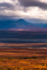 dramatic landscape of  mountain peaks and mountain ranges inside Denali National Park  during...