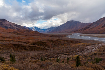 dramatic autumn landscape of snowcapped mountain ranges and peaks inside DEnali National park .