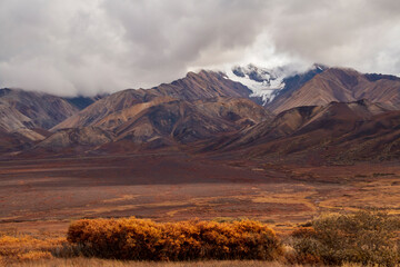 dramatic autumn landscape of snowcapped mountain ranges and peaks inside DEnali National park .