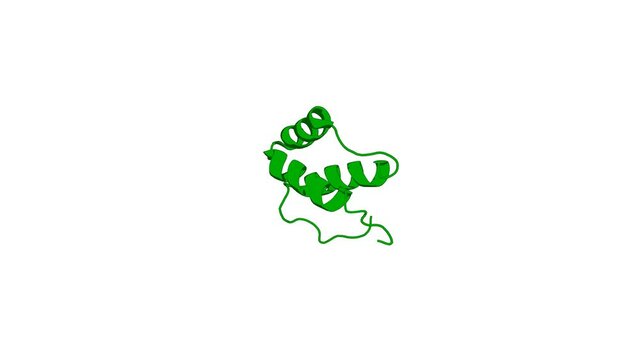 360&ordm; 3D rendering of a biological molecule. Conformational changes in the PBX homeodomain and C-terminal extension upon binding DNA and HOX-derived YPWM peptides.