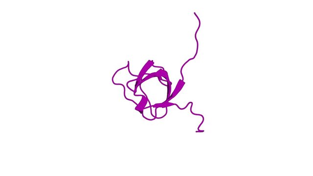 360&ordm; 3D rendering of a biological molecule. Solution Structure of the SH3 domain of the Vinexin protein