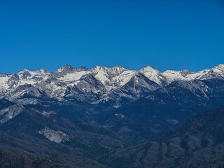Obraz premium Sequoia mountains park 