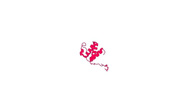 360&ordm; 3D rendering of a biological molecule. A common binding motif in the ET domain of BRD3 forms polymorphic structural interfaces with host and viral proteins.